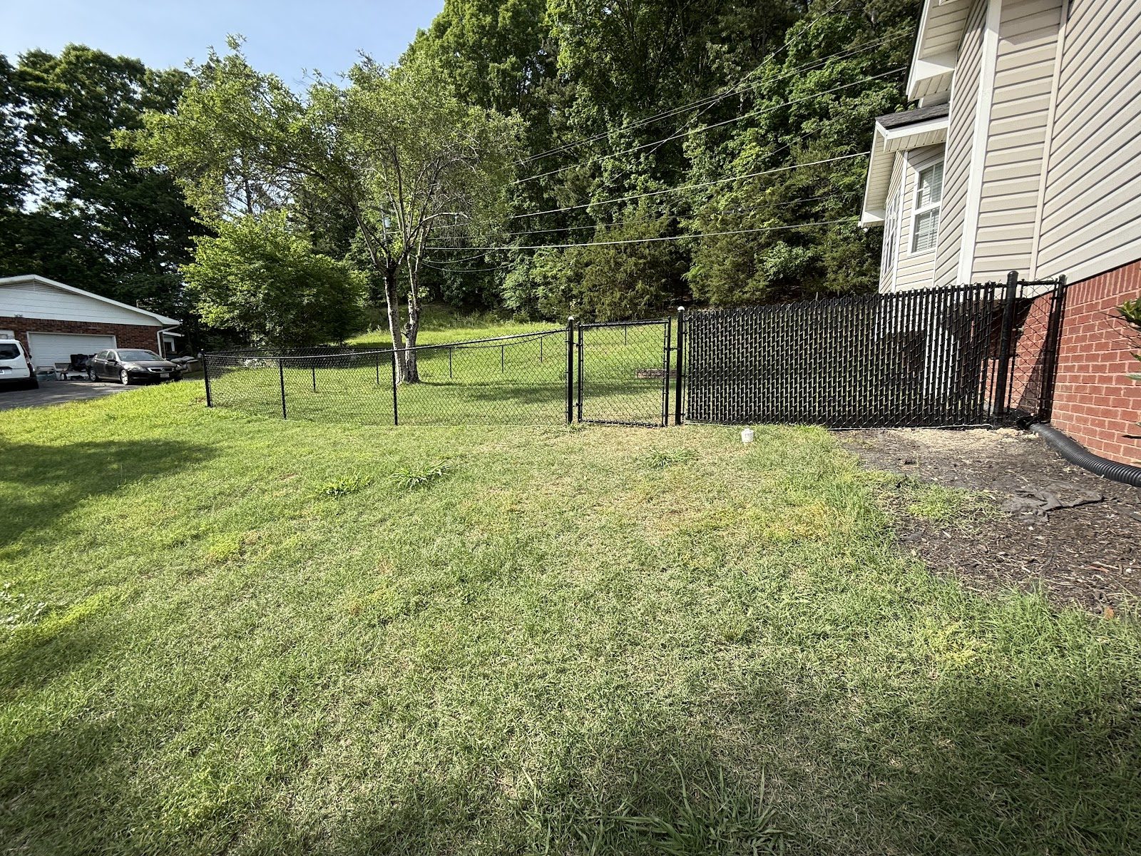 Black fence with a gate enclosing a grassy back yard